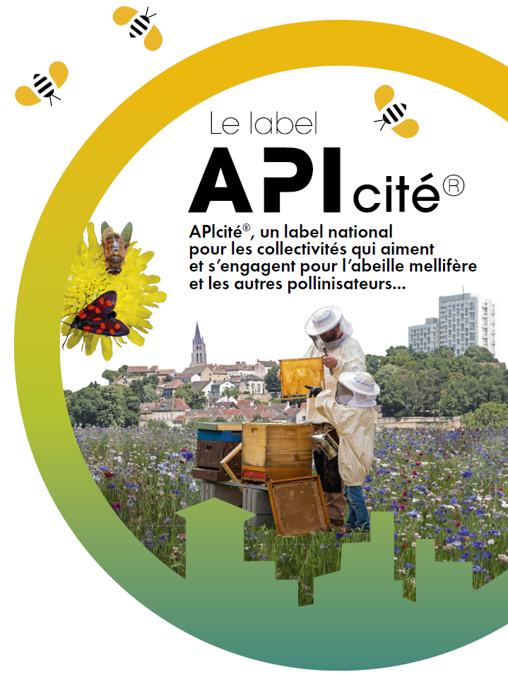 APIcité affiche